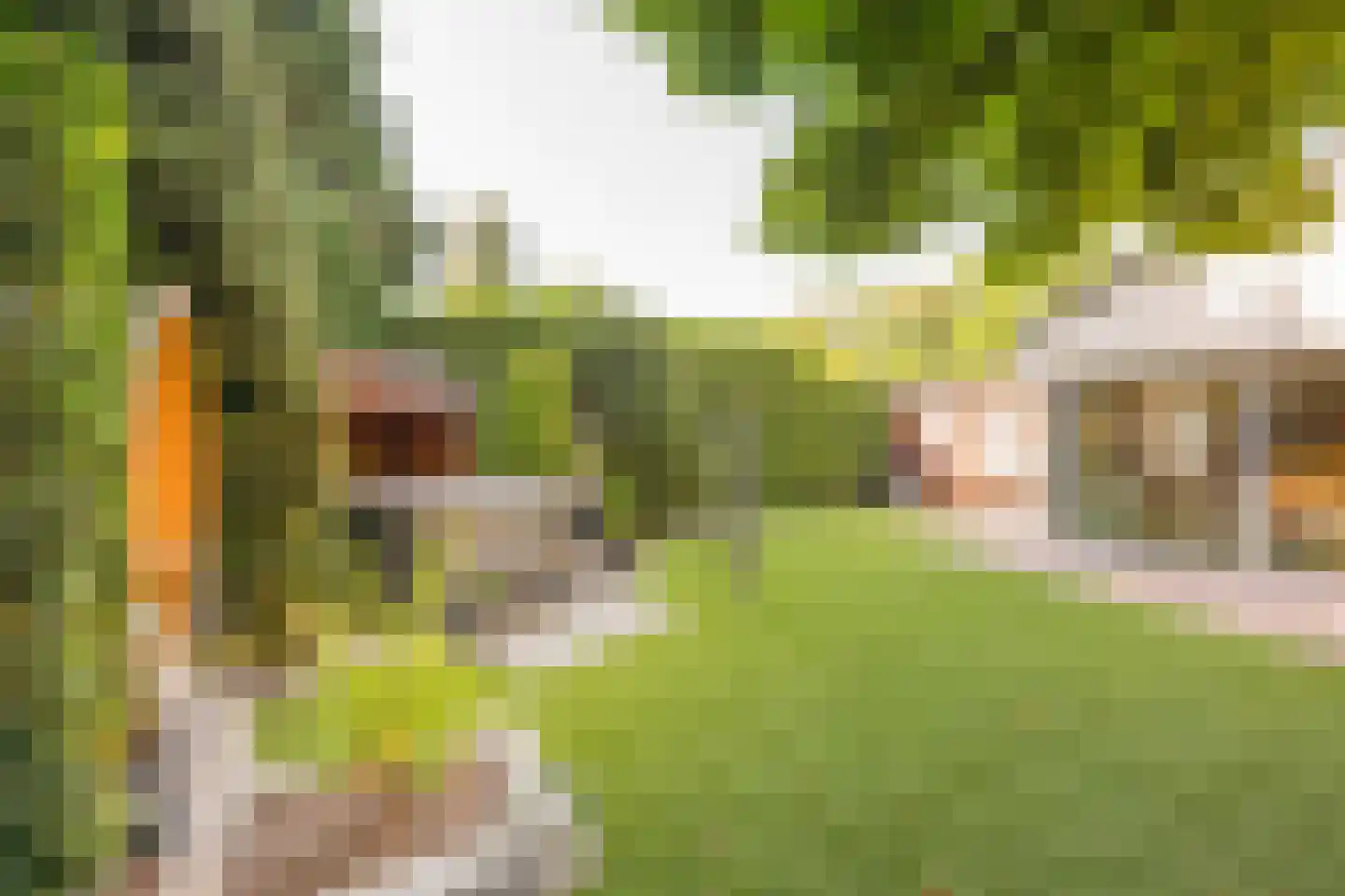 Lange Zuiderweg 150 35 Voorthuizen thumbnail 25