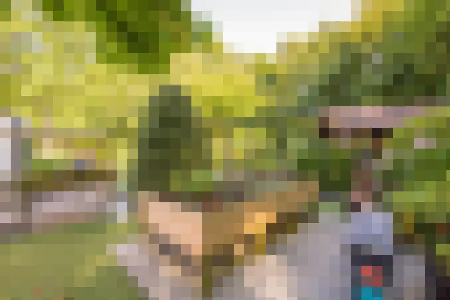 Lange Zuiderweg 150 35 Voorthuizen thumbnail 26