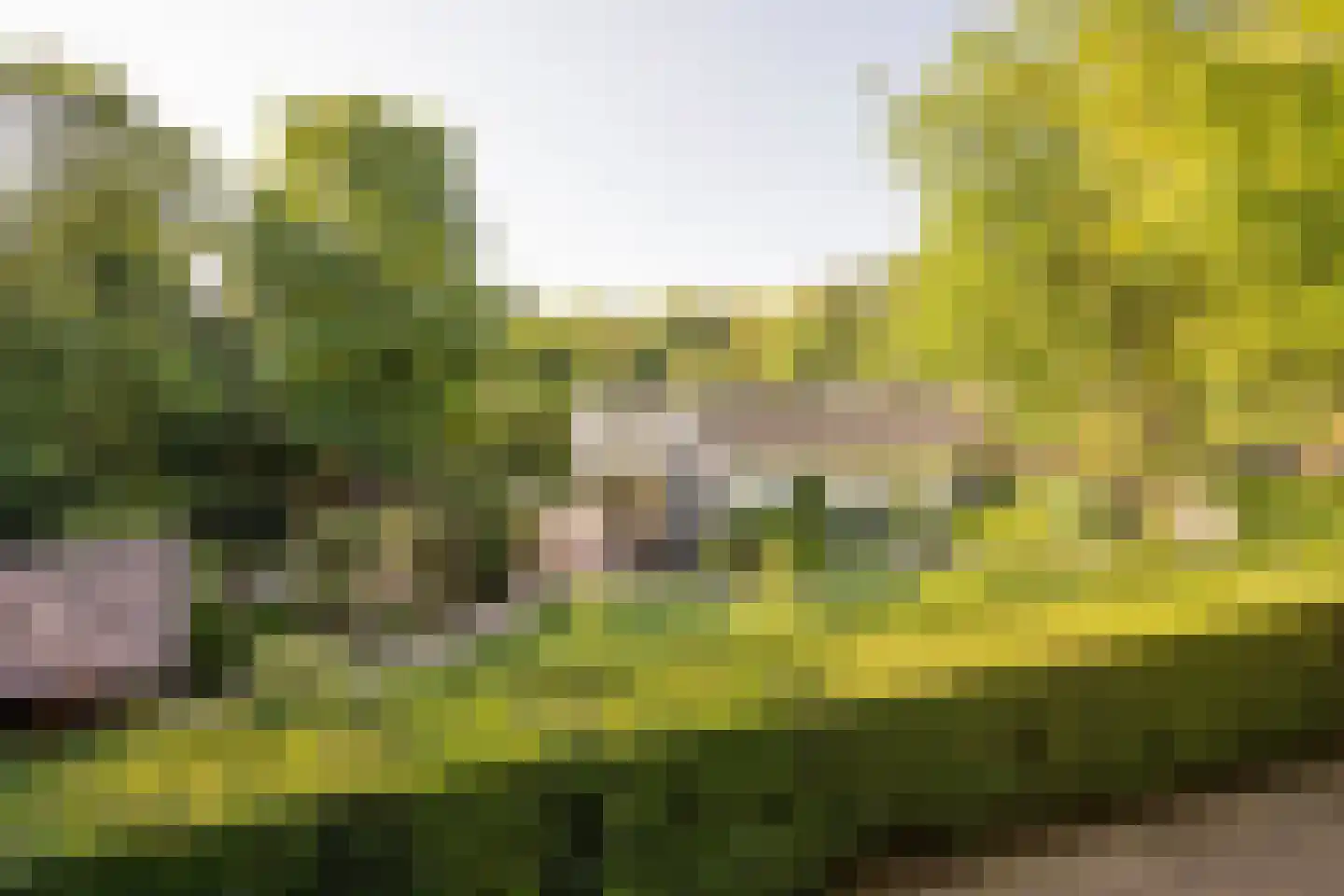Lange Zuiderweg 150 35 Voorthuizen thumbnail 29