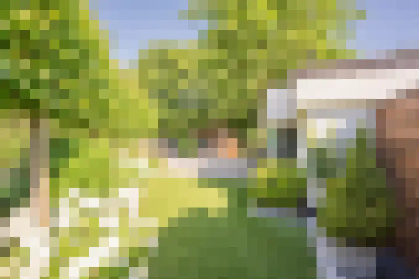 Lange Zuiderweg 150 35 Voorthuizen thumbnail 30