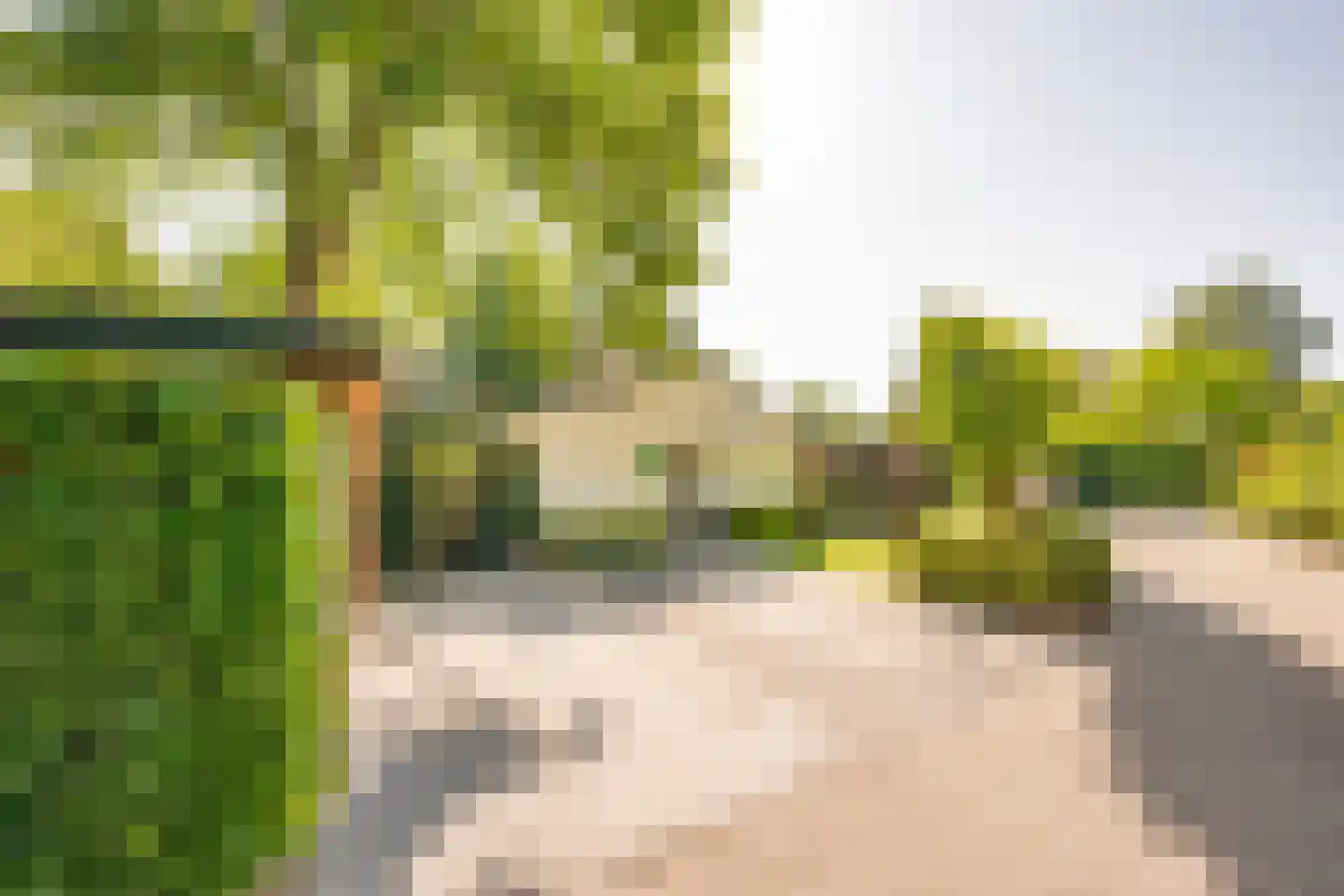 Lange Zuiderweg 150 35 Voorthuizen thumbnail 31