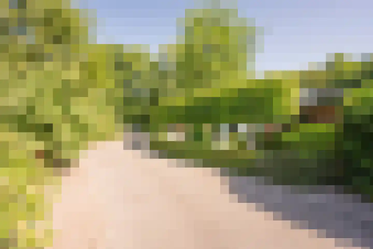 Lange Zuiderweg 150 35 Voorthuizen thumbnail 32