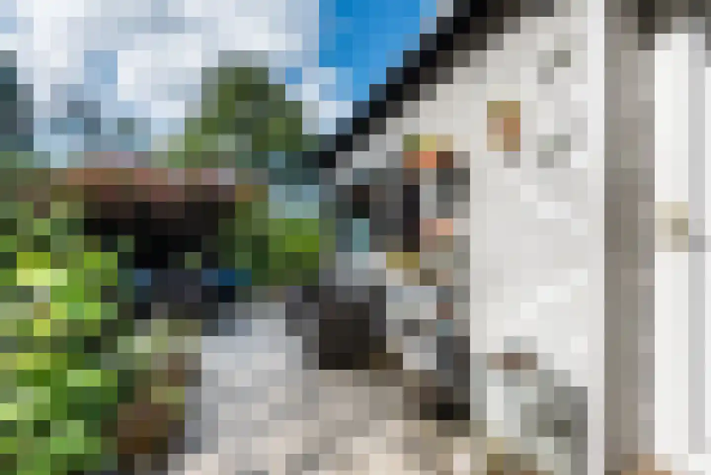 Lange Zuiderweg 27 02 Voorthuizen thumbnail 23