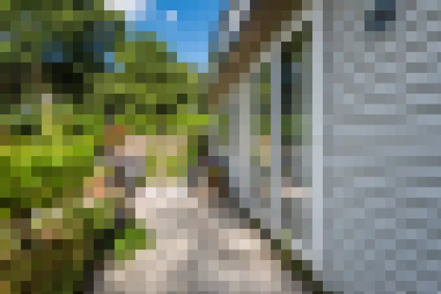 Lange Zuiderweg 27 02 Voorthuizen thumbnail 28