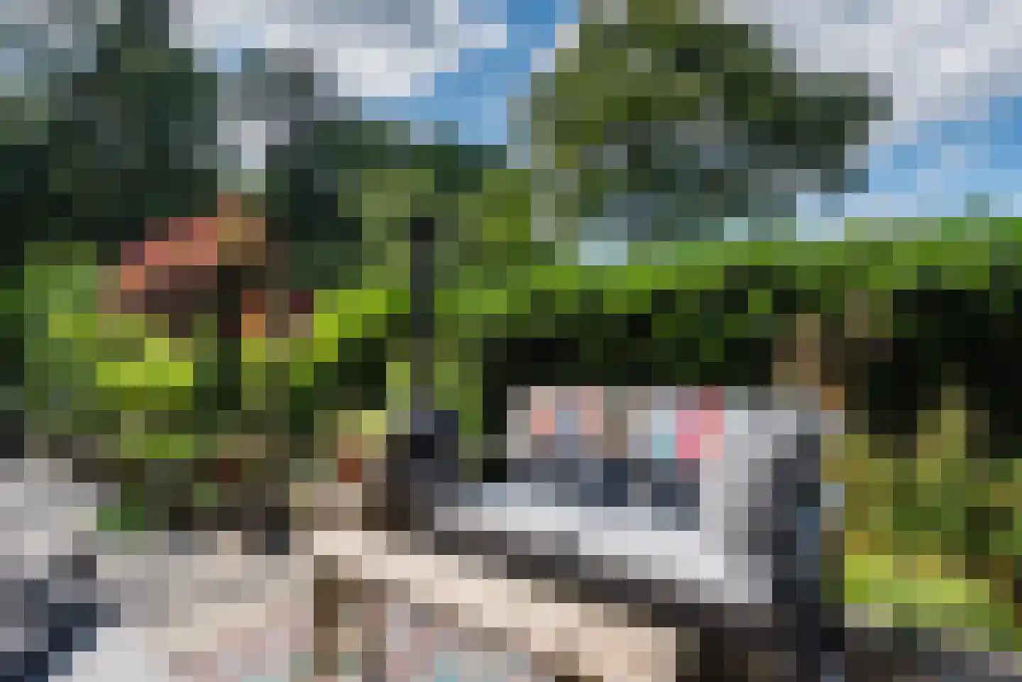 Lange Zuiderweg 27 02 Voorthuizen thumbnail 30