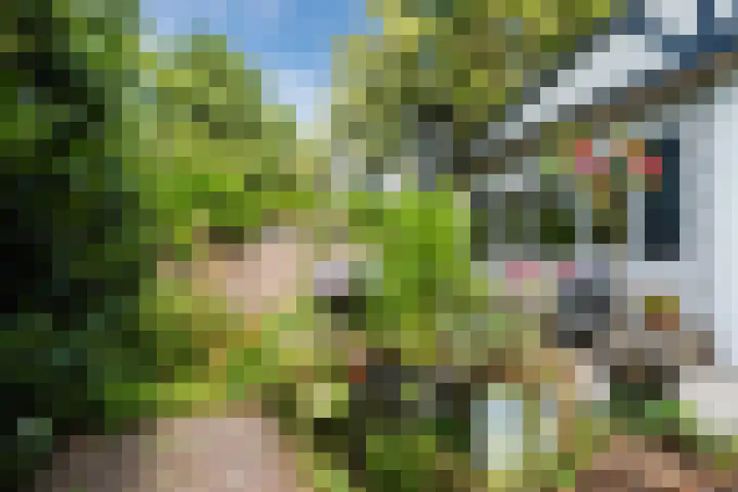 Lange Zuiderweg 27 02 Voorthuizen thumbnail 32