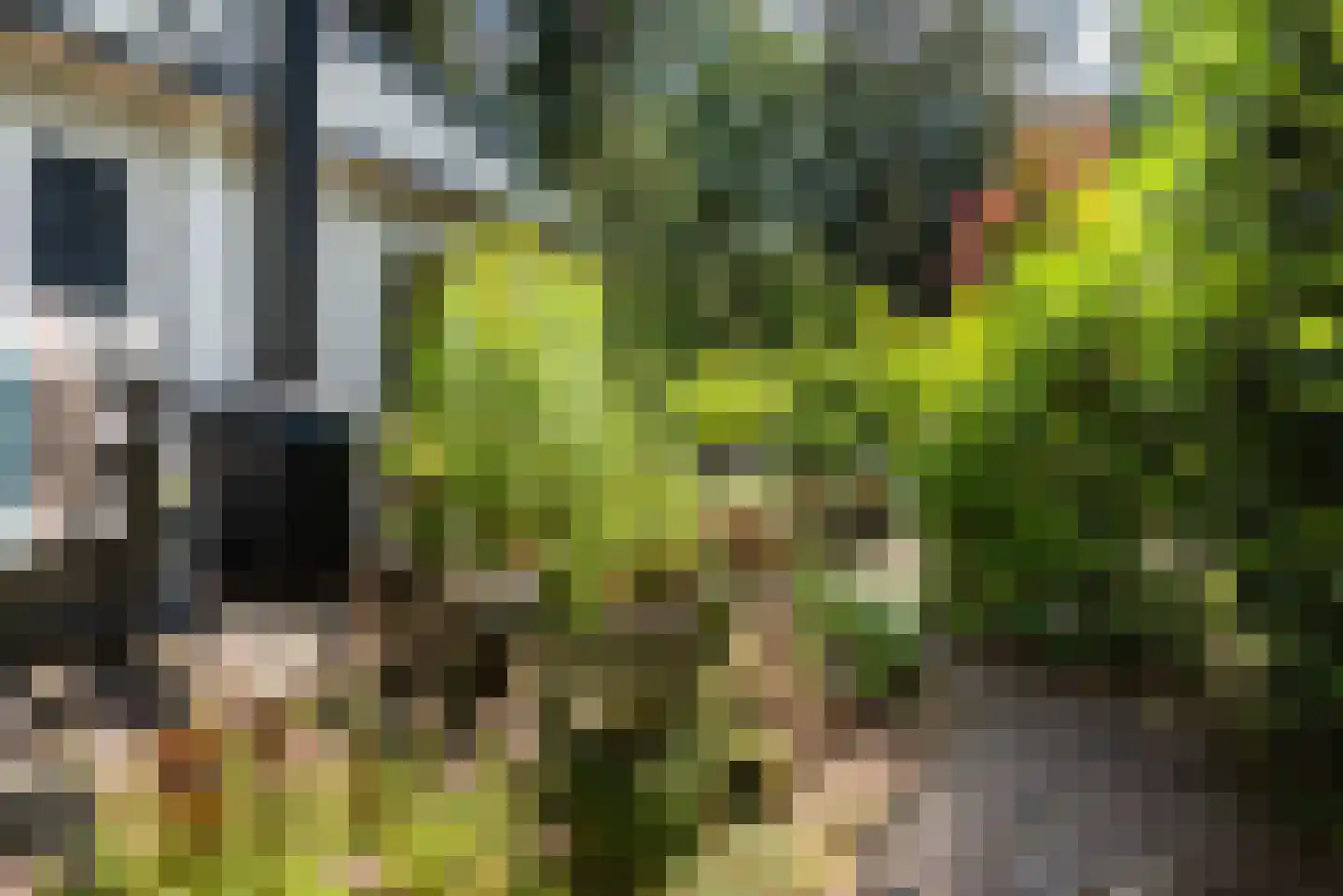 Lange Zuiderweg 27 02 Voorthuizen thumbnail 33