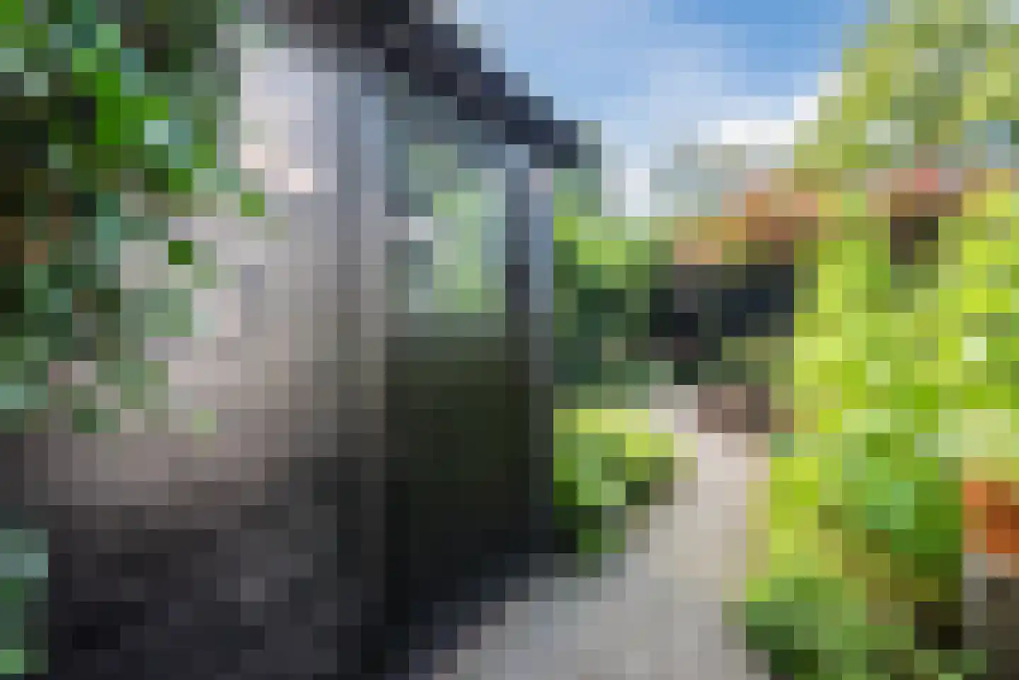 Lange Zuiderweg 27 02 Voorthuizen thumbnail 36