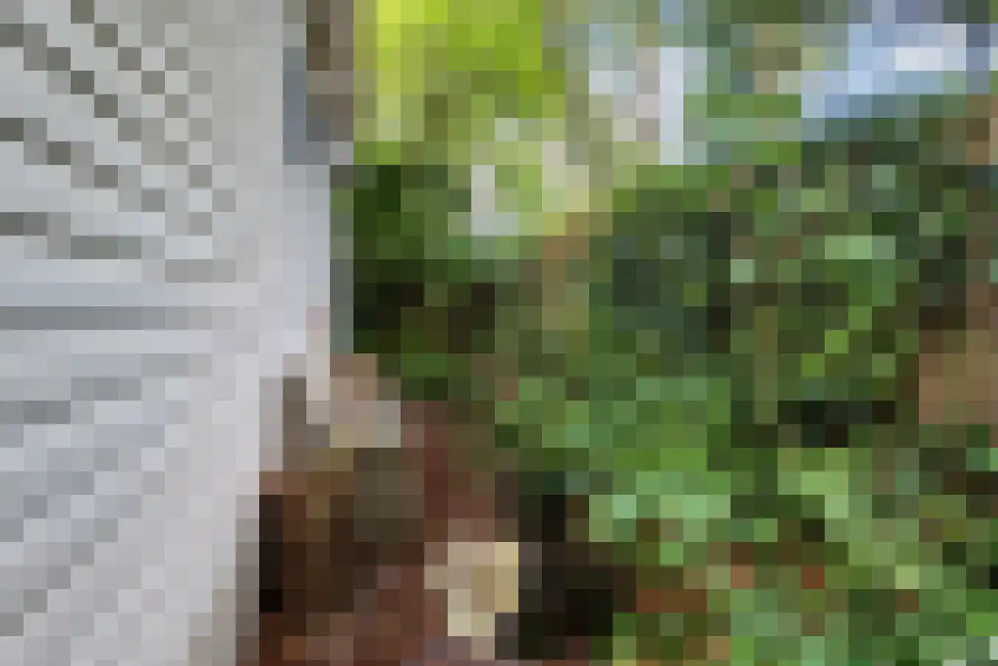 Lange Zuiderweg 27 02 Voorthuizen thumbnail 38