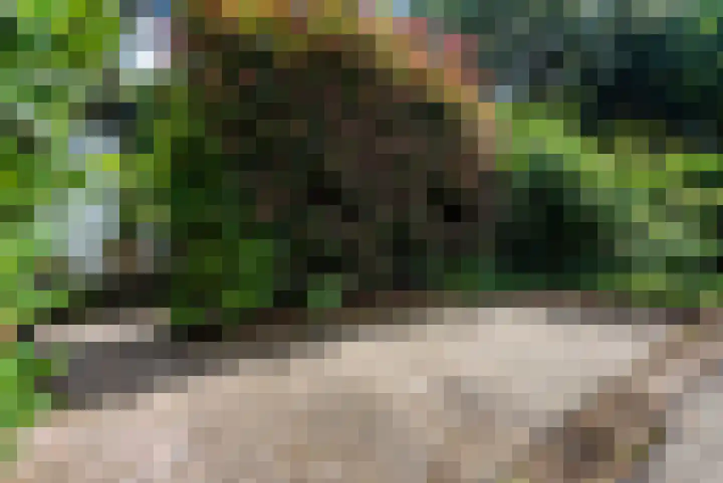 Lange Zuiderweg 27 02 Voorthuizen thumbnail 40