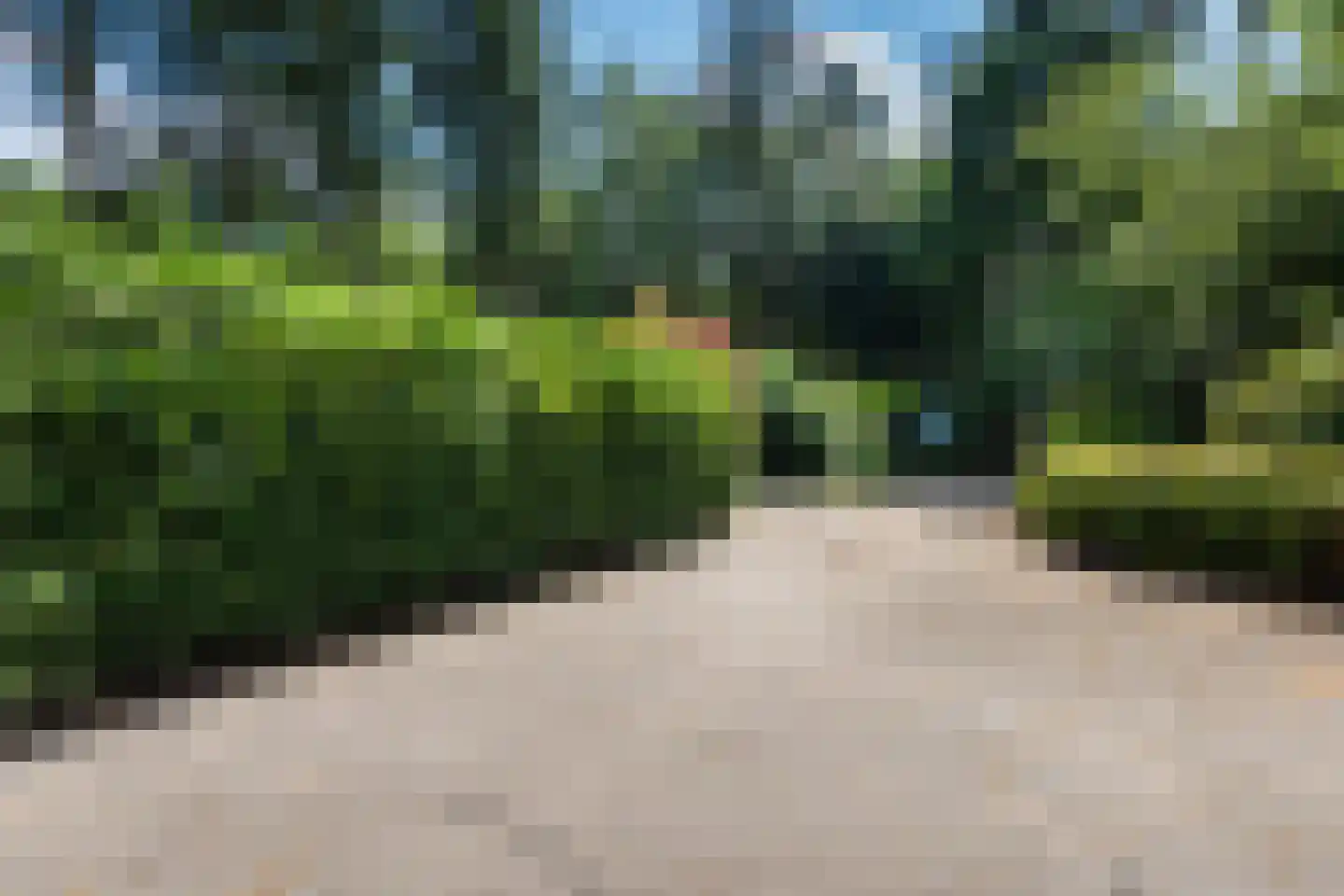 Lange Zuiderweg 27 02 Voorthuizen thumbnail 41