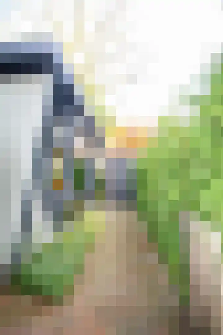 Lange Zuiderweg 27 10 Voorthuizen thumbnail 29