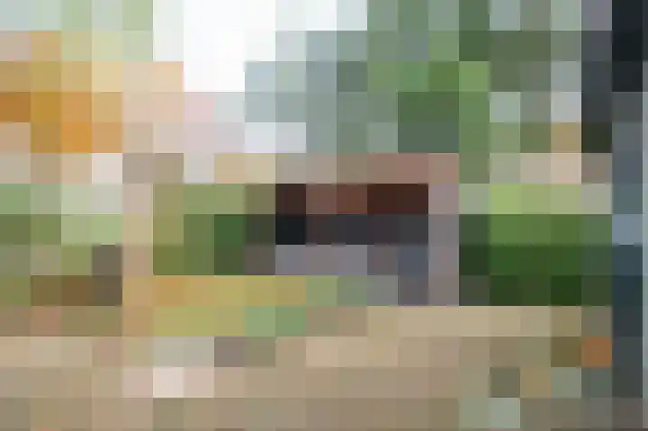 Lange Zuiderweg 27 10 Voorthuizen thumbnail 32