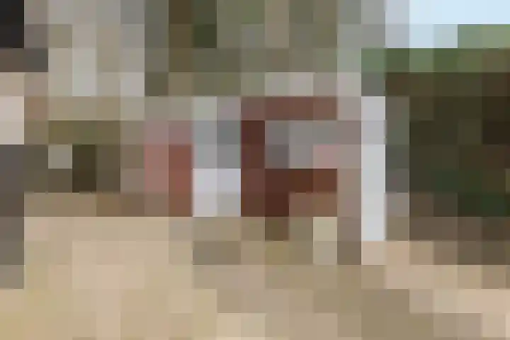 Lange Zuiderweg 27 11 Voorthuizen thumbnail 21