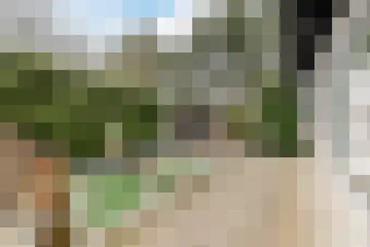 Lange Zuiderweg 27 11 Voorthuizen thumbnail 32