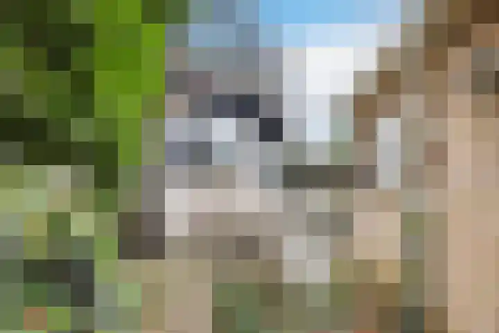 Lange Zuiderweg 27 11 Voorthuizen thumbnail 34