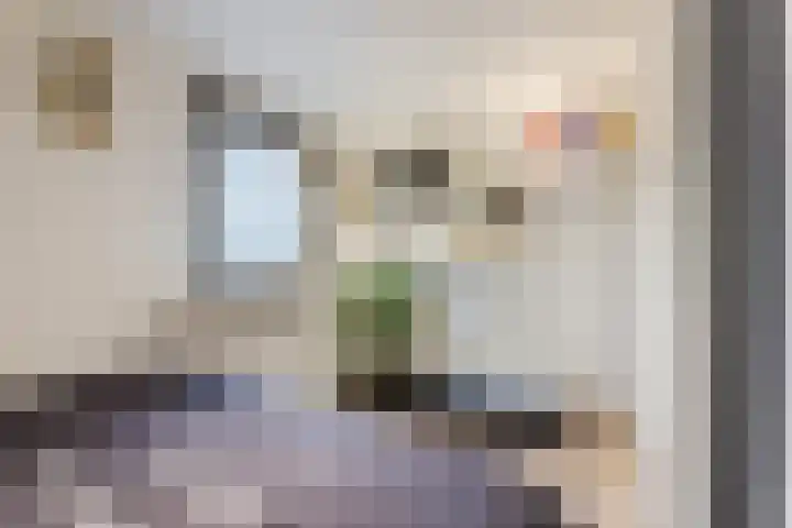 Lange Zuiderweg 27 11 Voorthuizen thumbnail 5