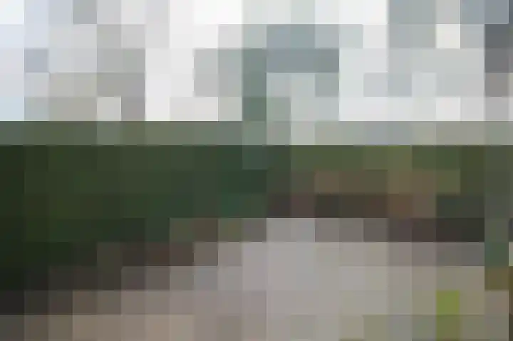 Lange Zuiderweg 27 15 Voorthuizen thumbnail 31