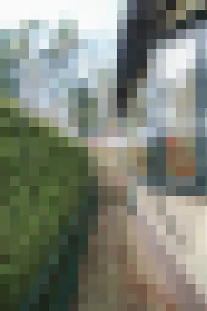 Lange Zuiderweg 27 15 Voorthuizen thumbnail 34