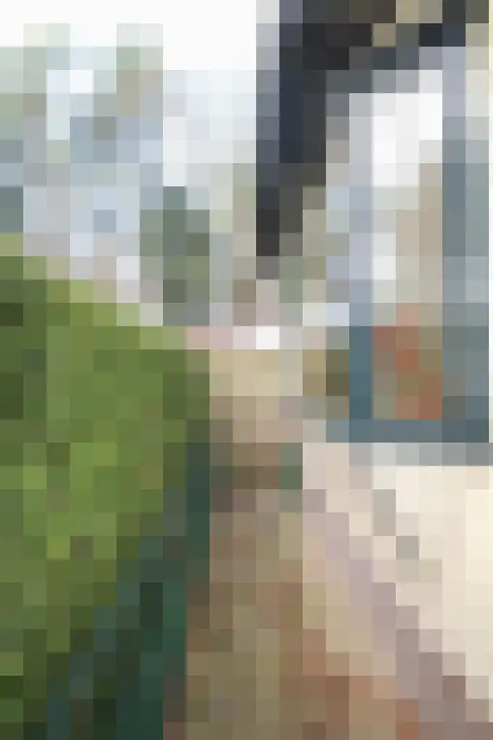 Lange Zuiderweg 27 15 Voorthuizen thumbnail 35