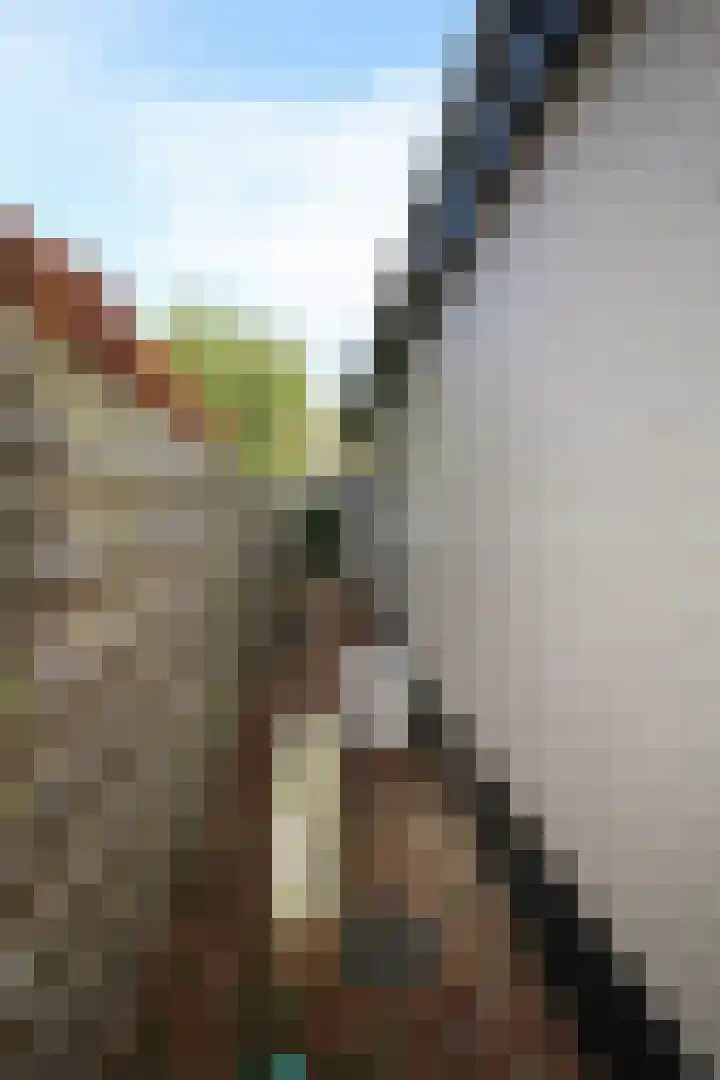 Lange Zuiderweg 27 15 Voorthuizen thumbnail 36