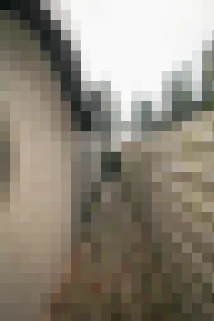 Lange Zuiderweg 27 15 Voorthuizen thumbnail 37
