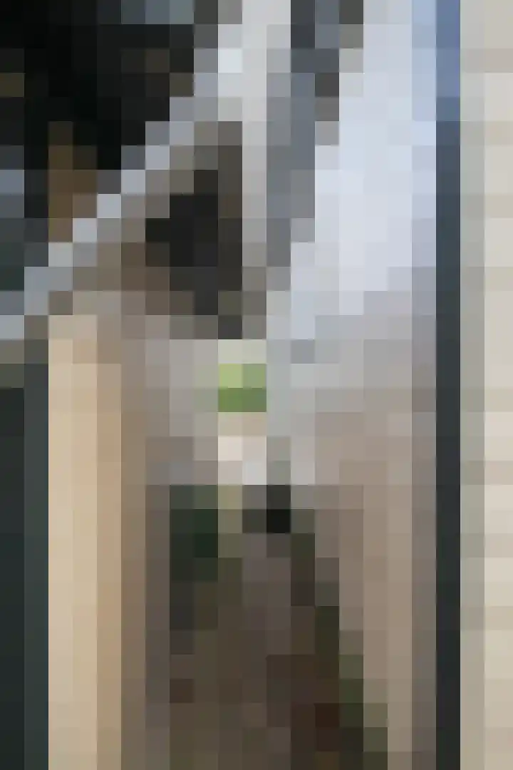 Lange Zuiderweg 27 15 Voorthuizen thumbnail 38
