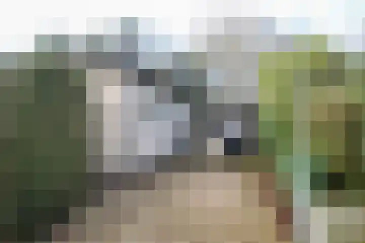 Lange Zuiderweg 27 15 Voorthuizen thumbnail 40