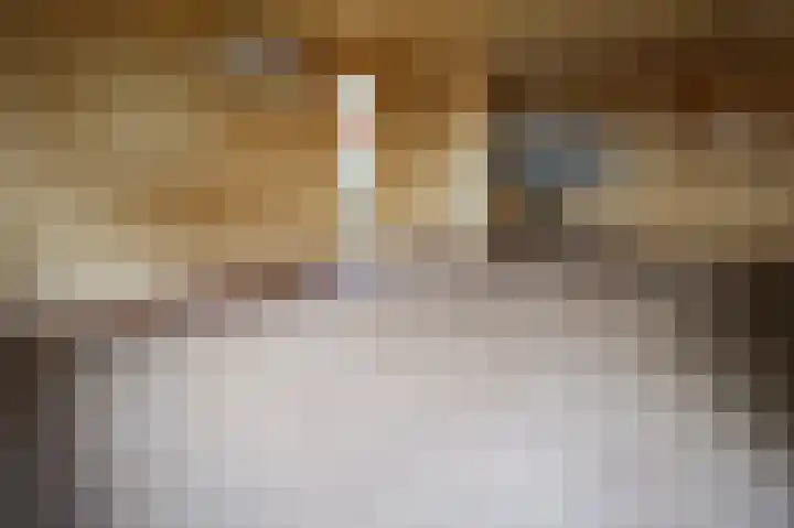 Lange Zuiderweg 27 15 Voorthuizen thumbnail 6