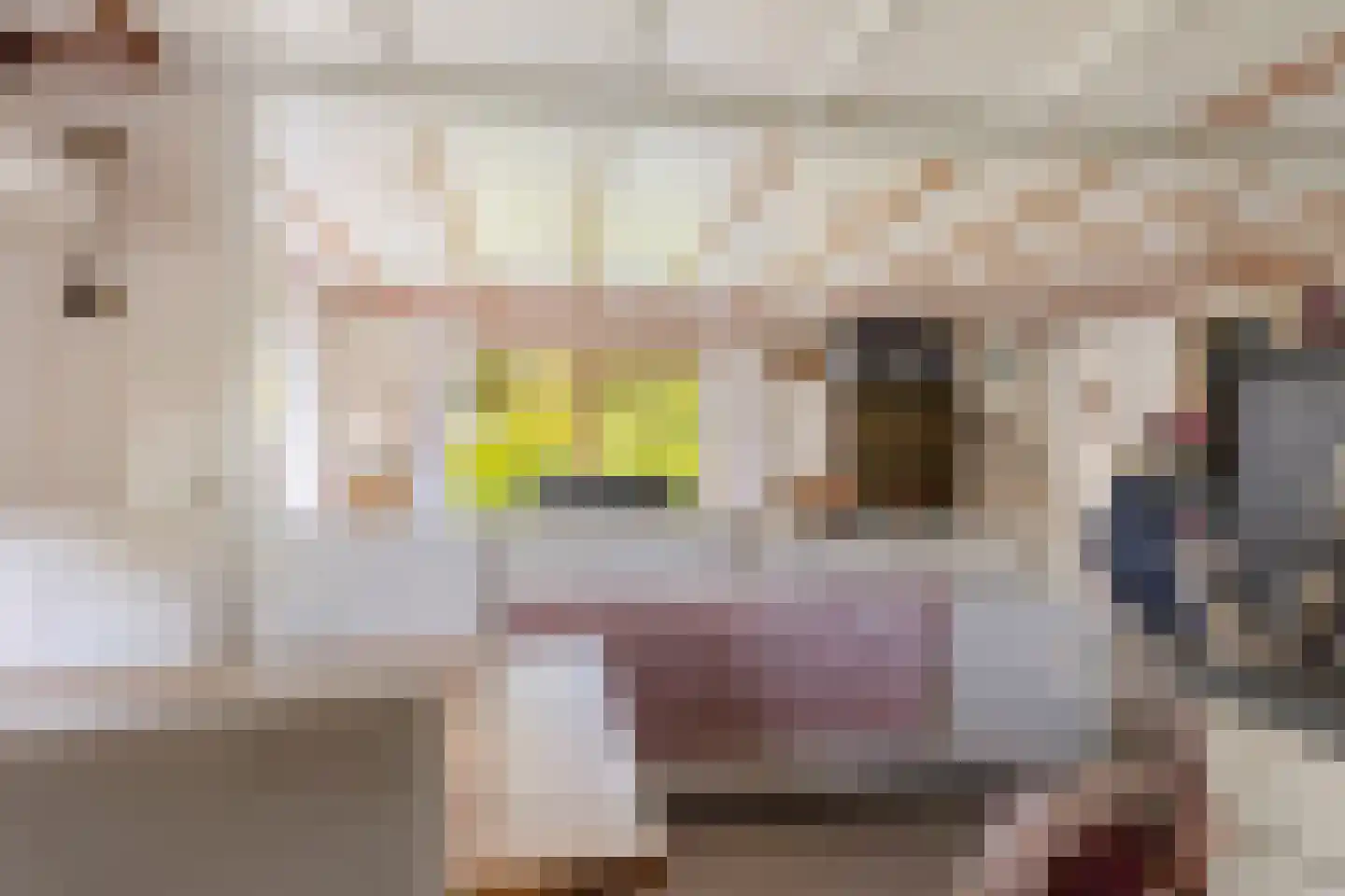 Lange Zuiderweg 27 37 Voorthuizen thumbnail 14
