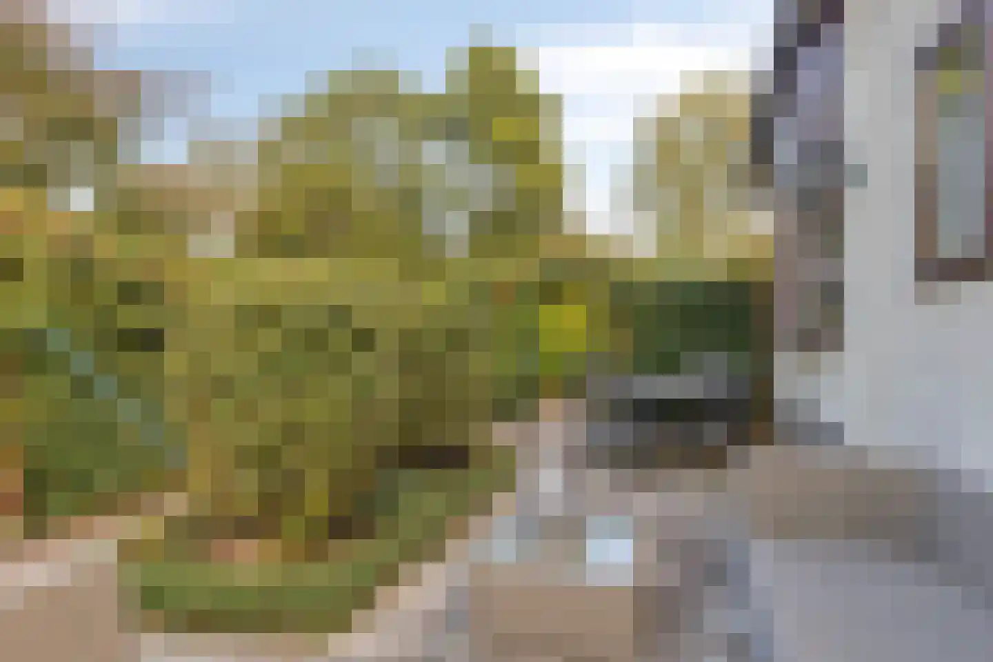 Lange Zuiderweg 27 37 Voorthuizen thumbnail 26