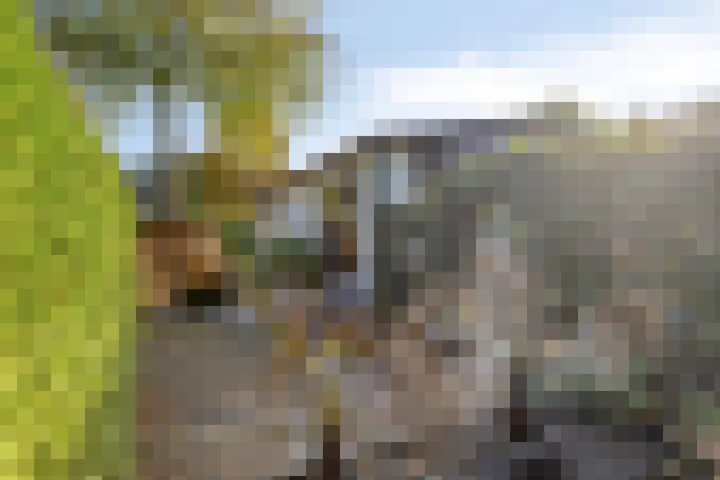 Lange Zuiderweg 27 37 Voorthuizen thumbnail 27
