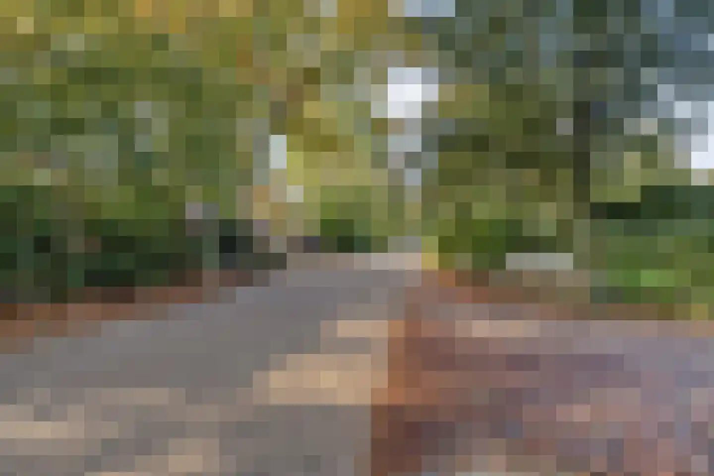Lange Zuiderweg 27 37 Voorthuizen thumbnail 28