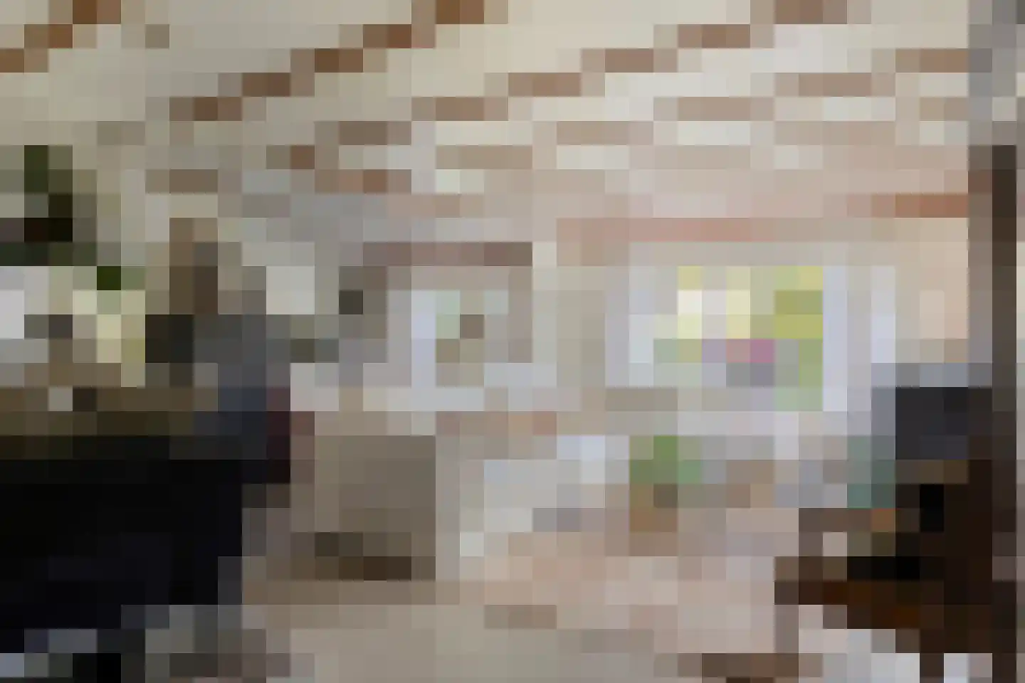 Lange Zuiderweg 27 37 Voorthuizen thumbnail 9