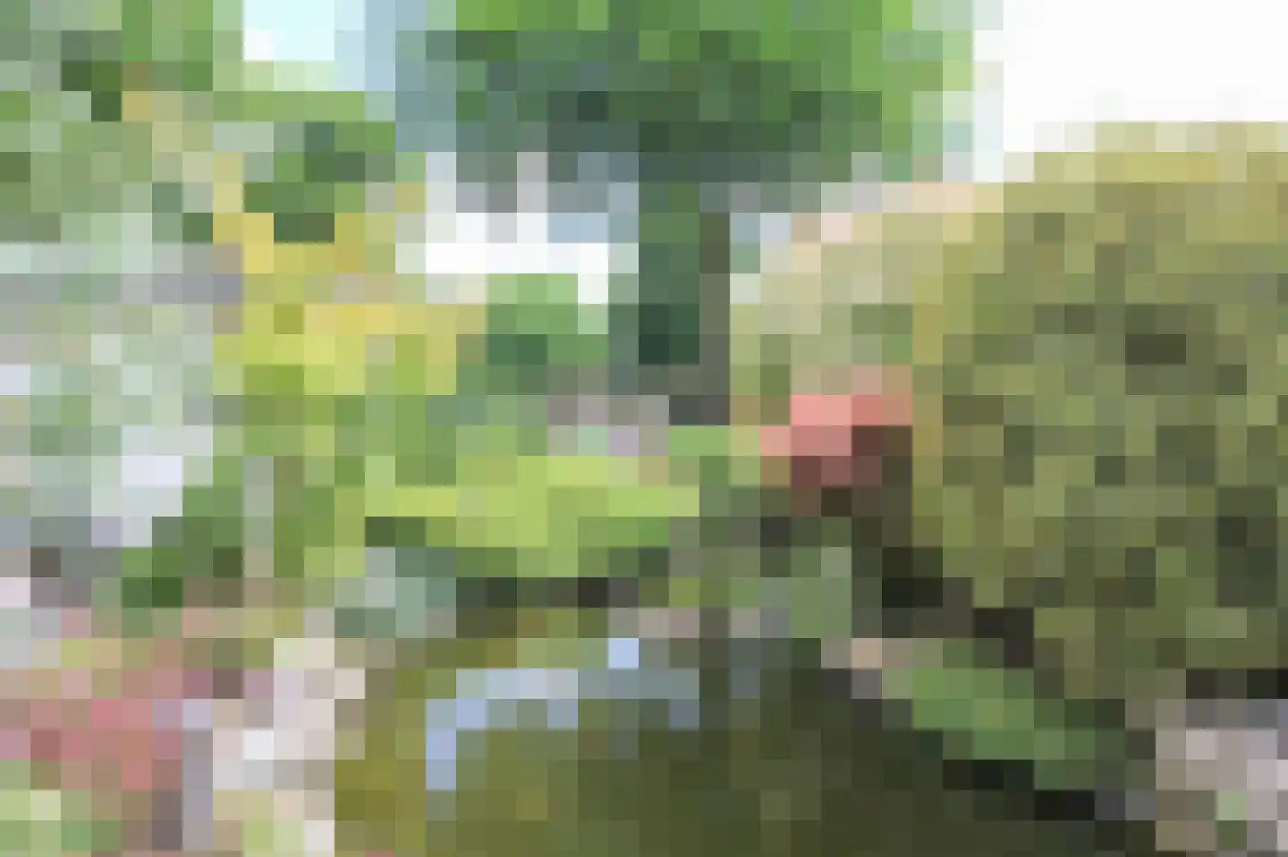 Lange Zuiderweg 27 39 Voorthuizen thumbnail 34