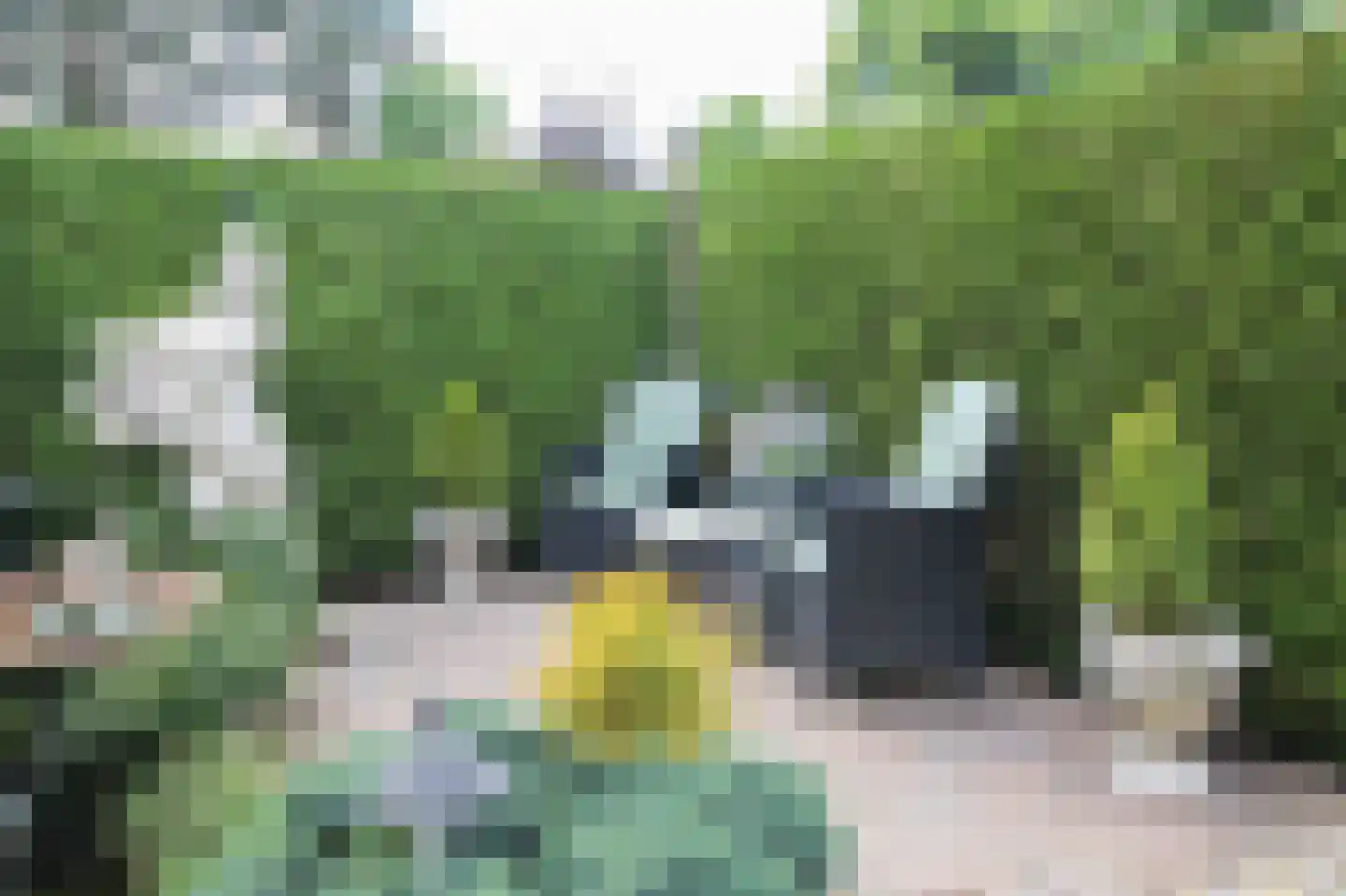 Lange Zuiderweg 27 39 Voorthuizen thumbnail 40