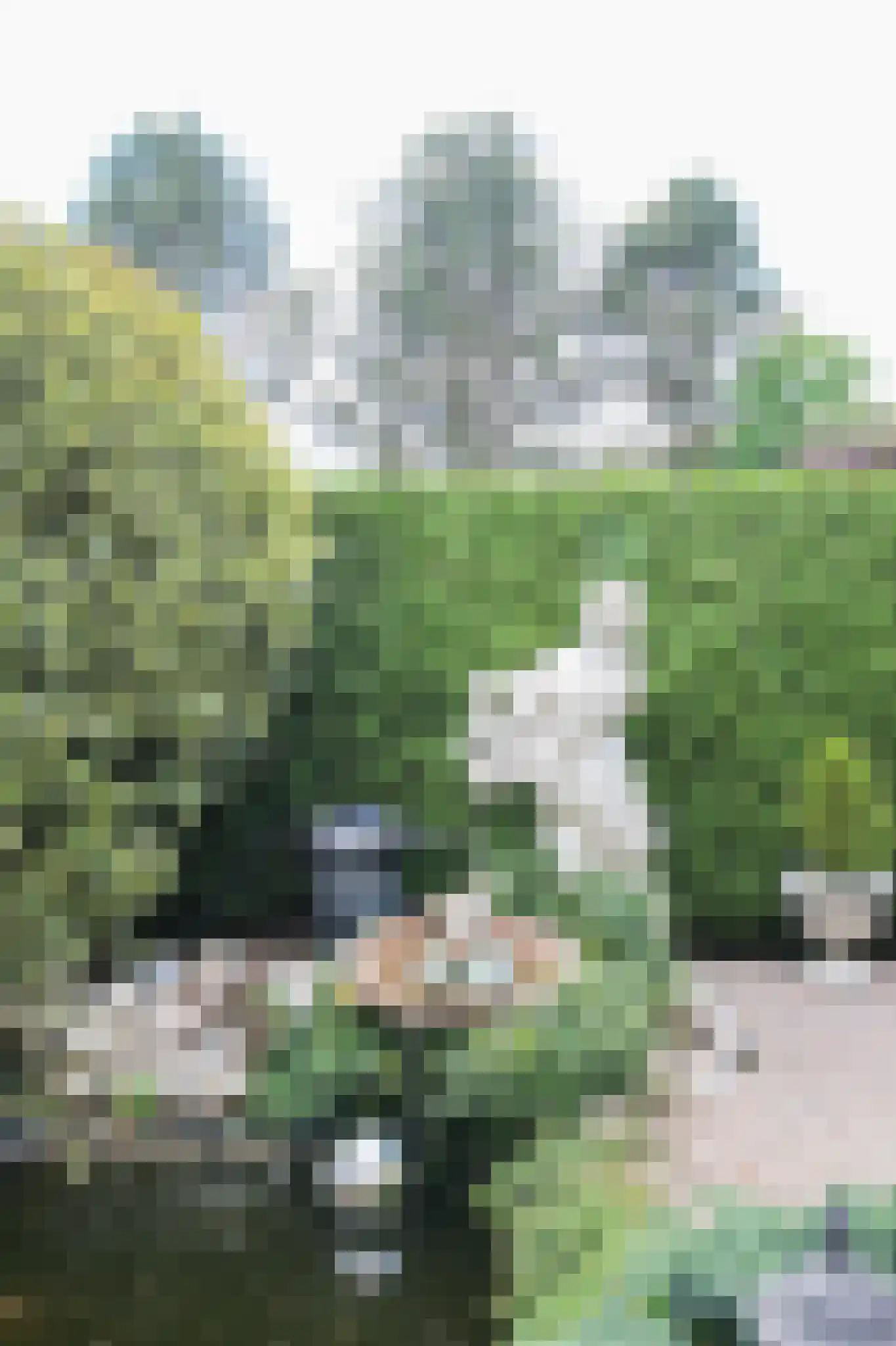 Lange Zuiderweg 27 39 Voorthuizen thumbnail 41