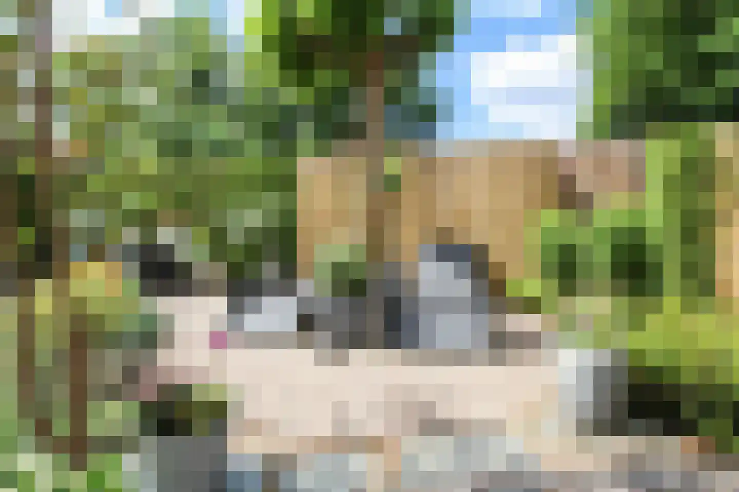 Lange Zuiderweg 27 39 Voorthuizen thumbnail 42