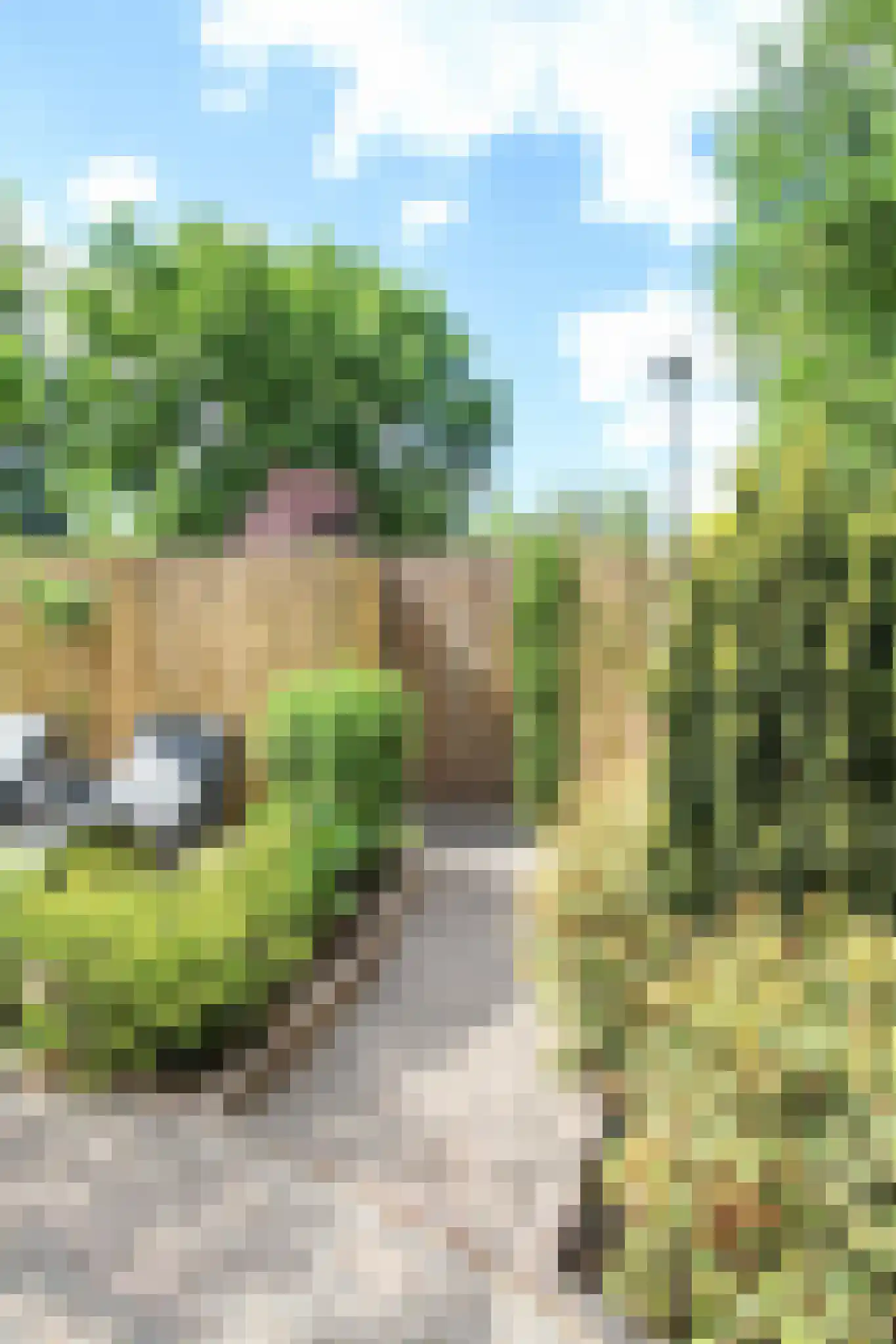 Lange Zuiderweg 27 39 Voorthuizen thumbnail 43