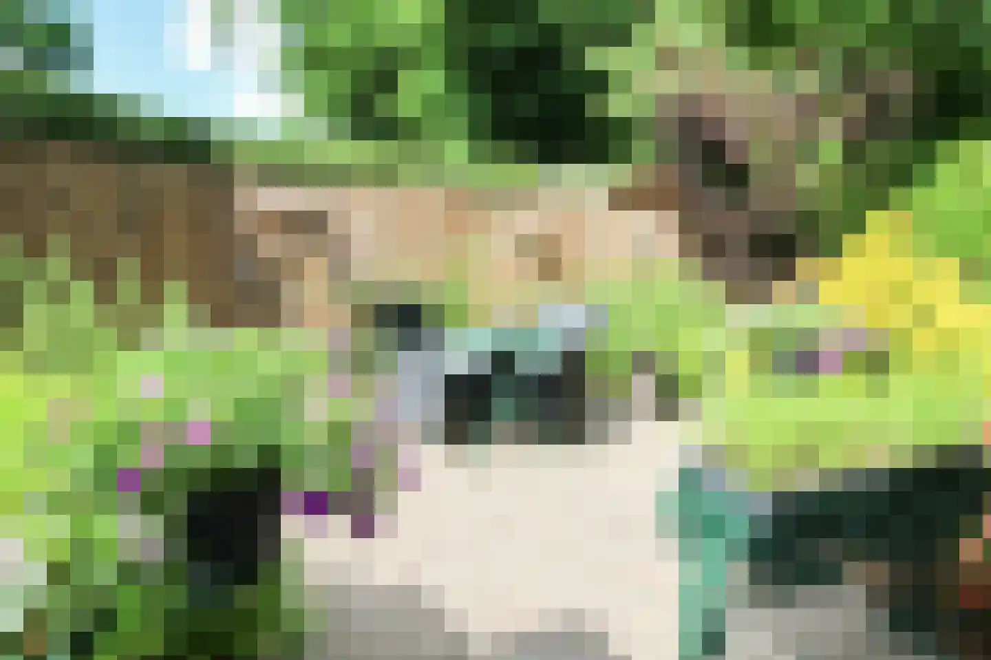 Lange Zuiderweg 27 39 Voorthuizen thumbnail 44