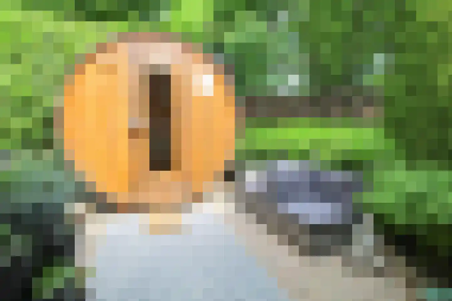 Lange Zuiderweg 27 39 Voorthuizen thumbnail 47