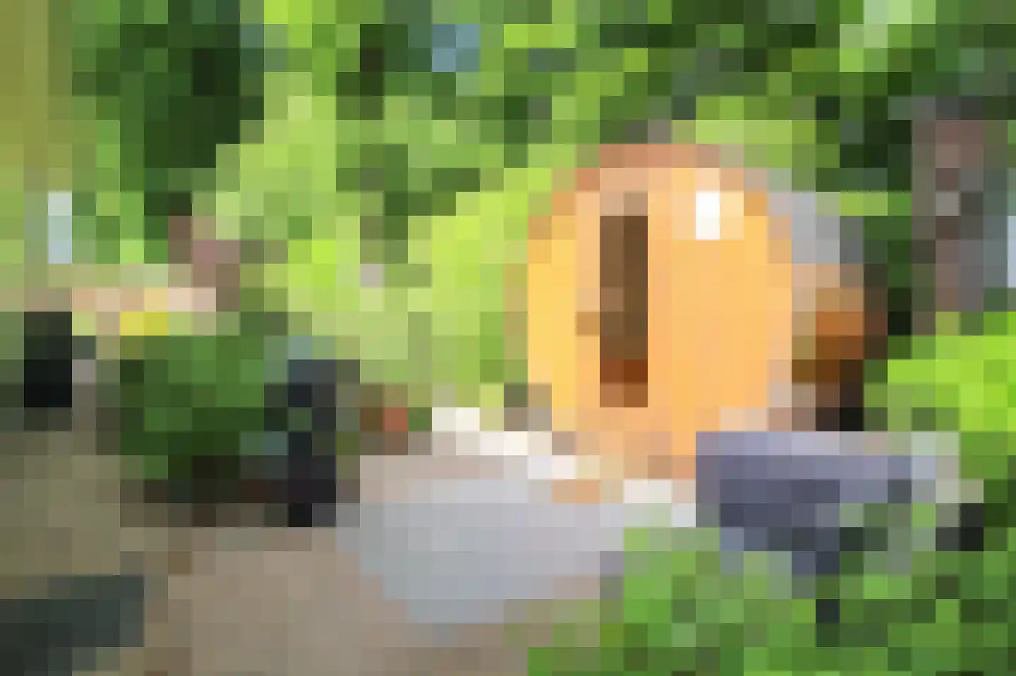 Lange Zuiderweg 27 39 Voorthuizen thumbnail 49