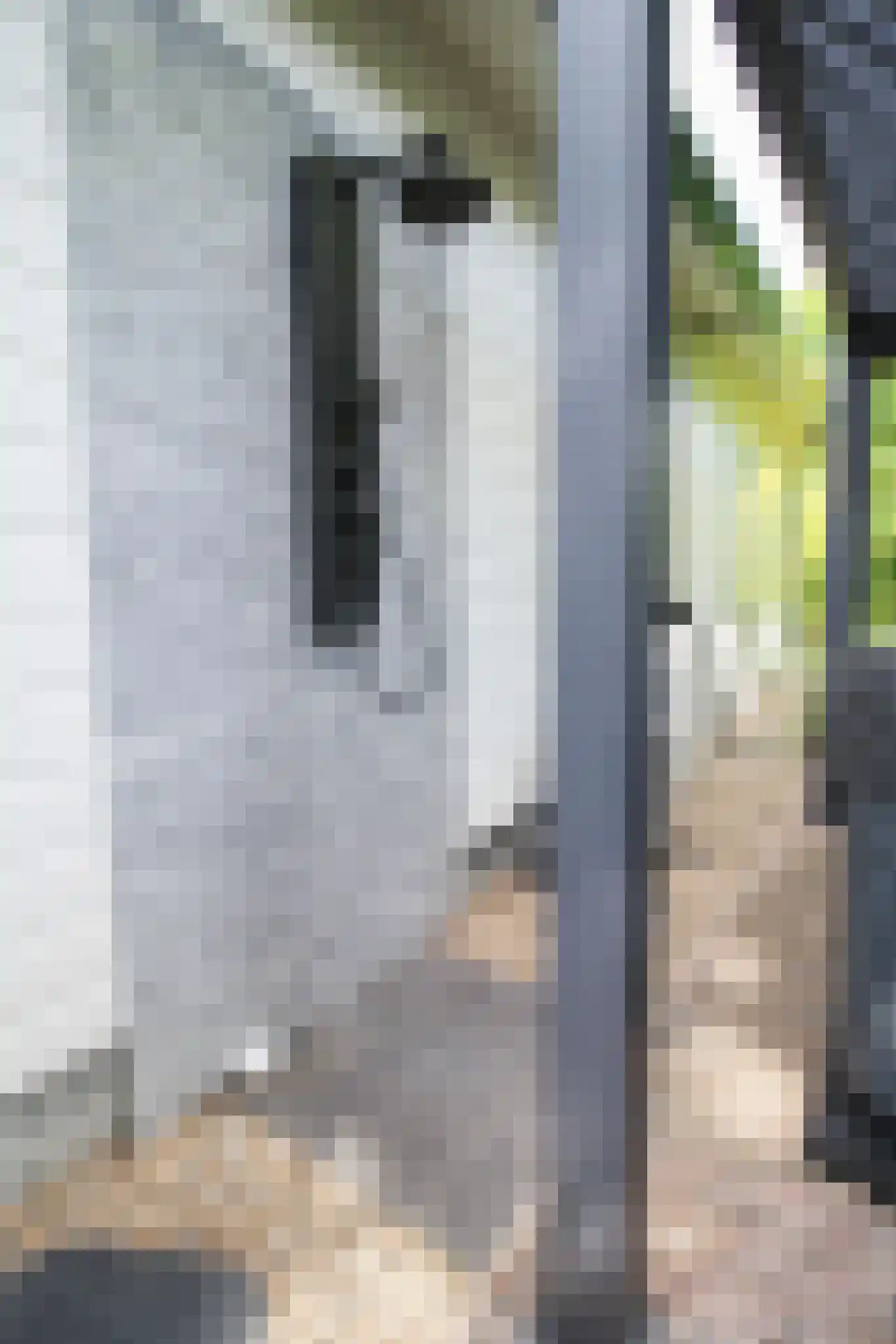 Lange Zuiderweg 27 39 Voorthuizen thumbnail 50