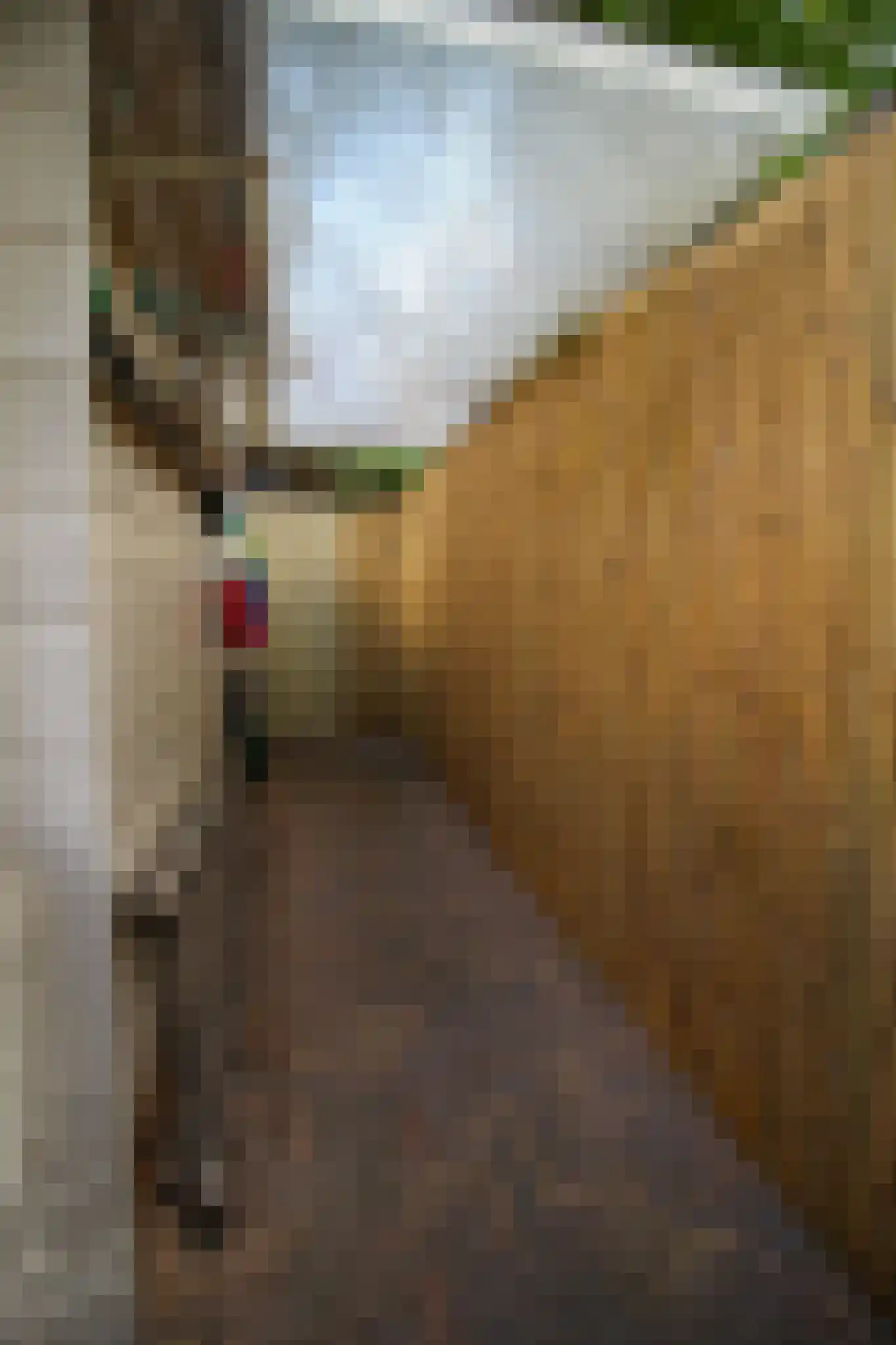Lange Zuiderweg 27 39 Voorthuizen thumbnail 53