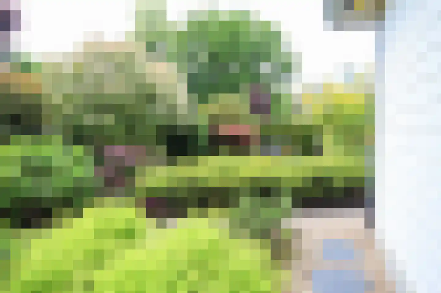 Lange Zuiderweg 27 39 Voorthuizen thumbnail 55