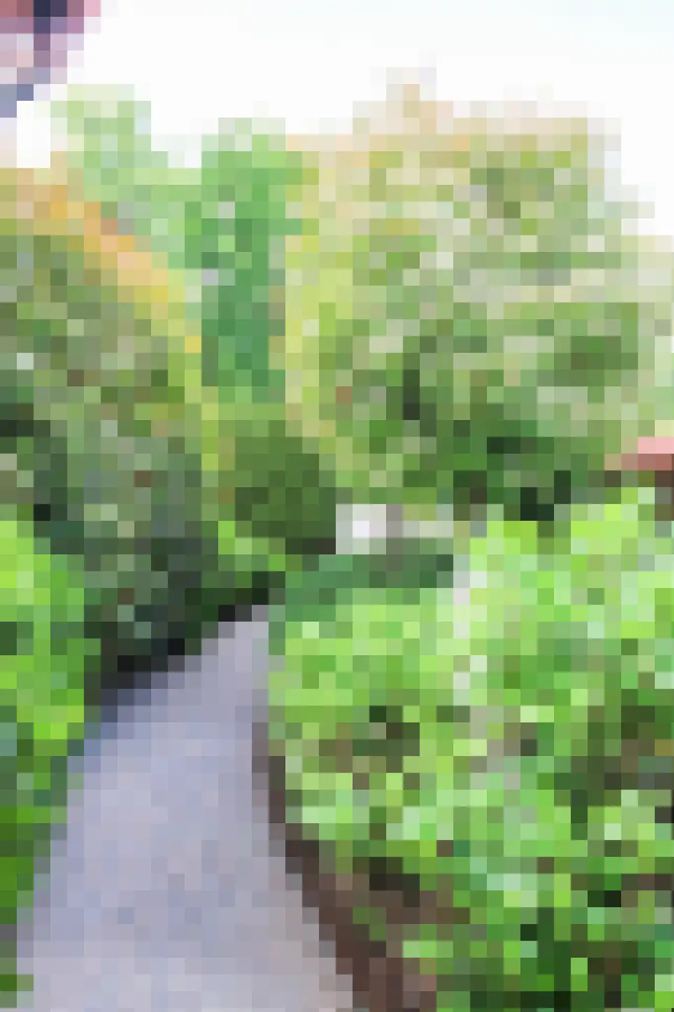 Lange Zuiderweg 27 39 Voorthuizen thumbnail 57