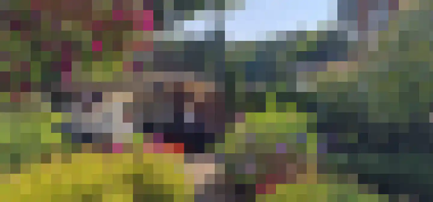 Lange Zuiderweg 27 39 Voorthuizen thumbnail 60
