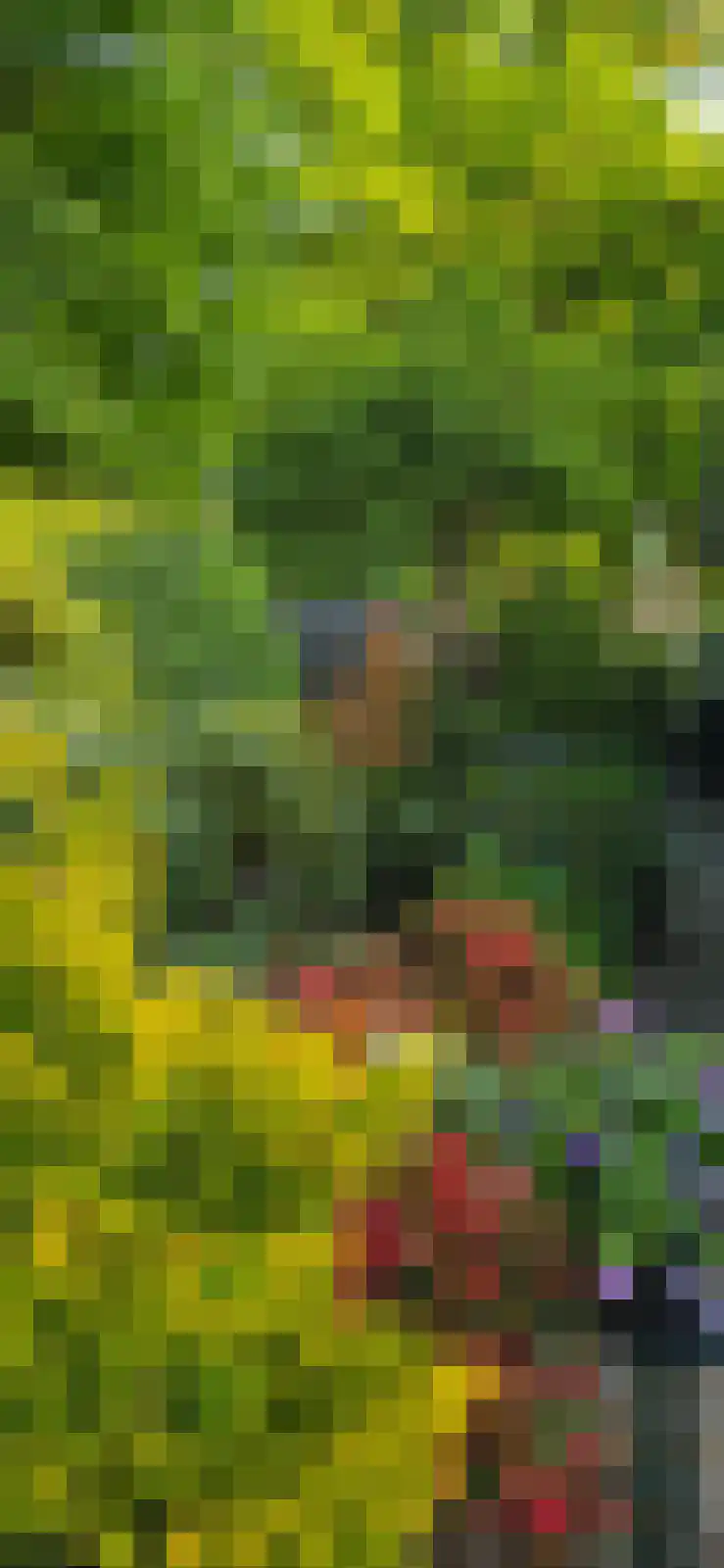 Lange Zuiderweg 27 39 Voorthuizen thumbnail 63