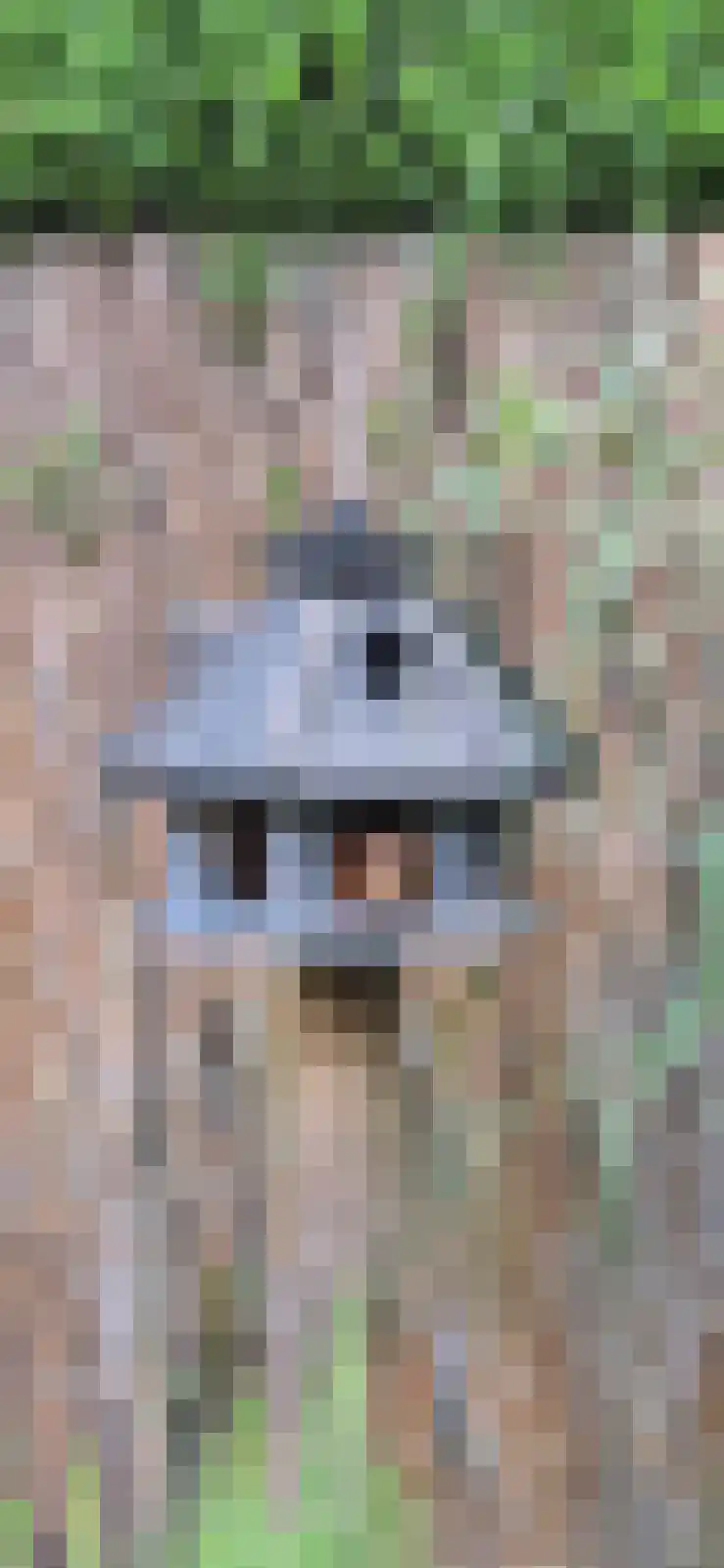 Lange Zuiderweg 27 39 Voorthuizen thumbnail 69