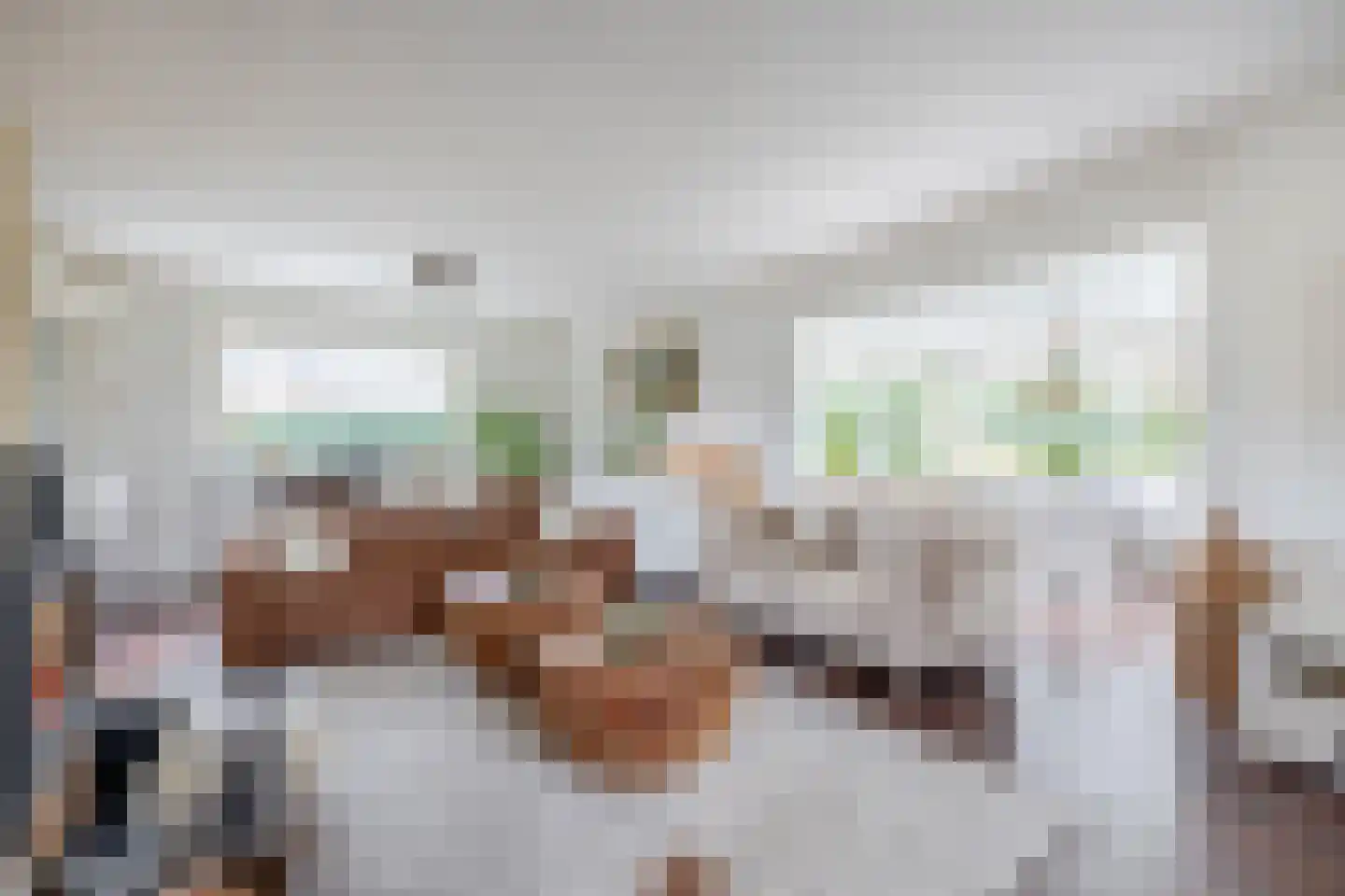 Lange Zuiderweg 3 Voorthuizen thumbnail 10